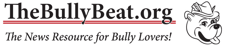 The Bully Beat
